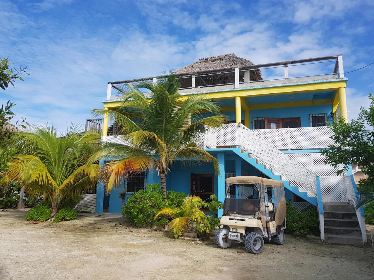 Trellis House Lejlighed Caye Caulker Eksteriør billede