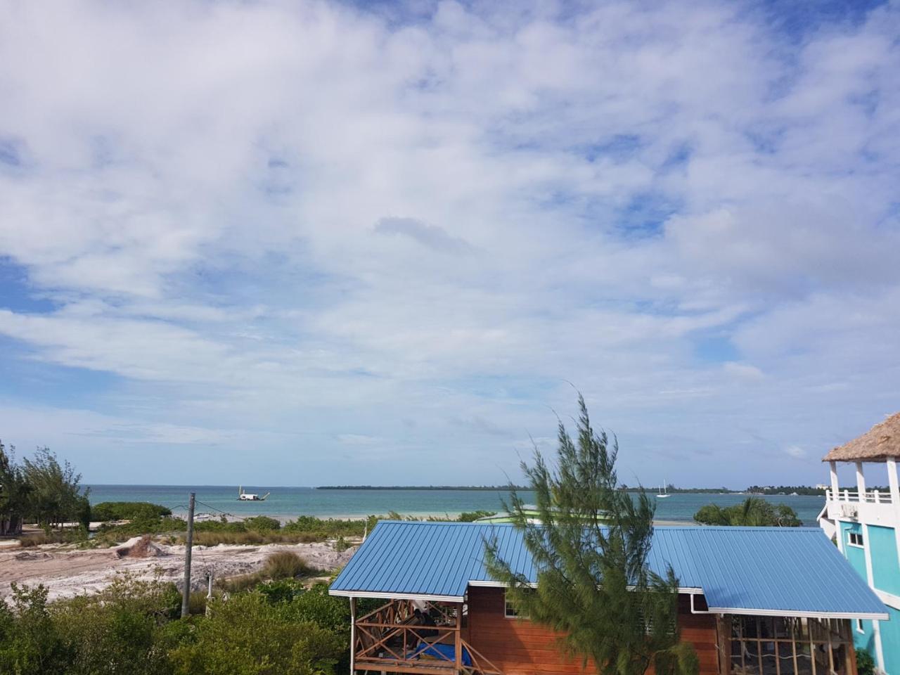 Trellis House Lejlighed Caye Caulker Eksteriør billede