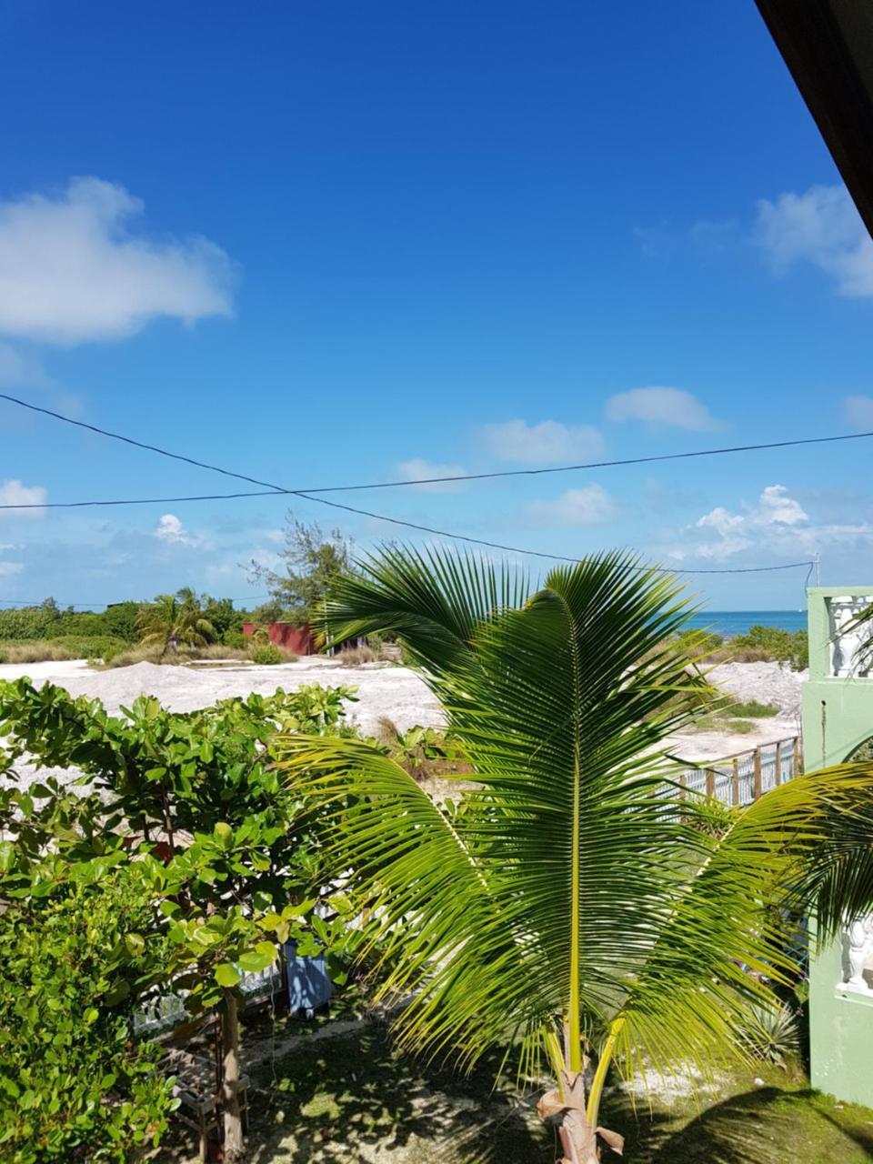 Trellis House Lejlighed Caye Caulker Eksteriør billede